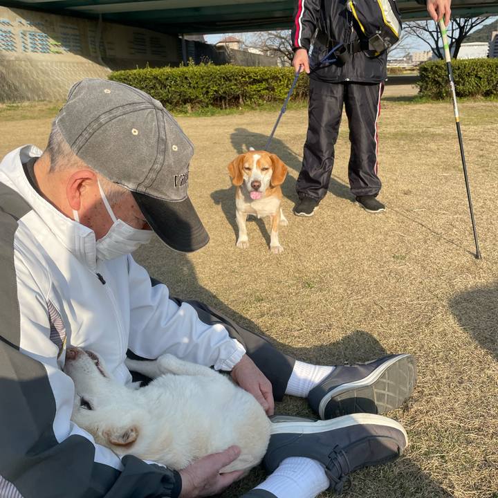 Aa01d5d8 d2c8 4d26 a12e f27c405ea81c 1678183892470