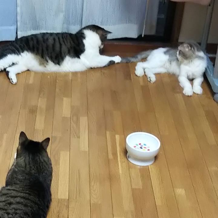 Aa01f378 7623 4562 89ed 80fa1eb8736e 1627021813568