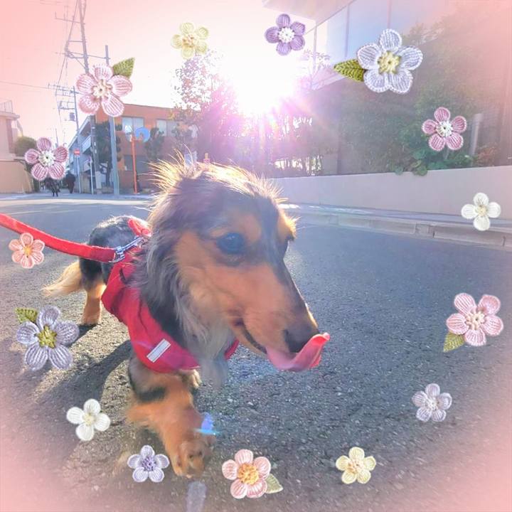 Aa01f840 4ad5 4b53 ac33 288bf5e33167 1744673732844