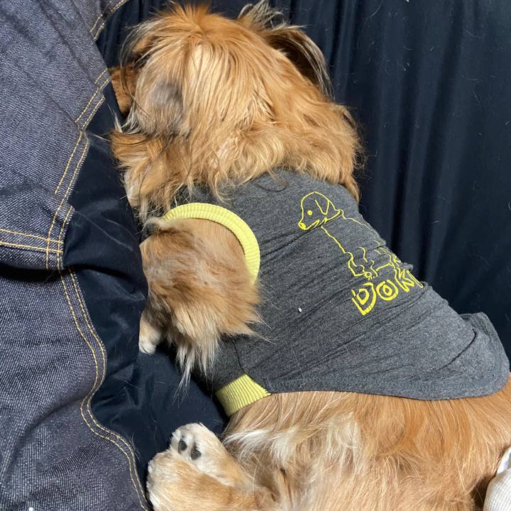 Aa021dba 7ecd 441c baf4 d1882e53dc3c 1643666210437