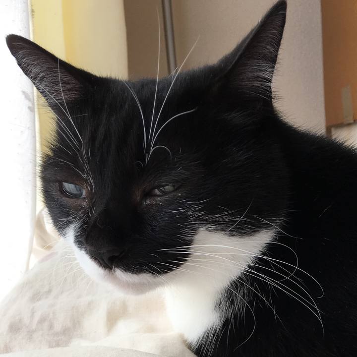 Aa022d06 6a8b 424a 87c2 f8d5f51645f7 1542859485904