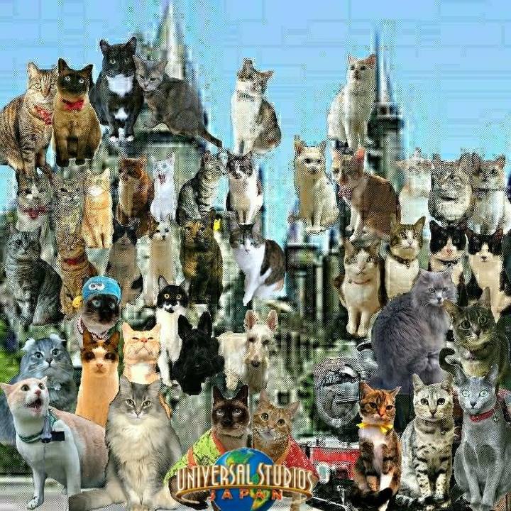 Aa0274b6 de05 4854 b65a ab5dcdb93dd7 1529223078008