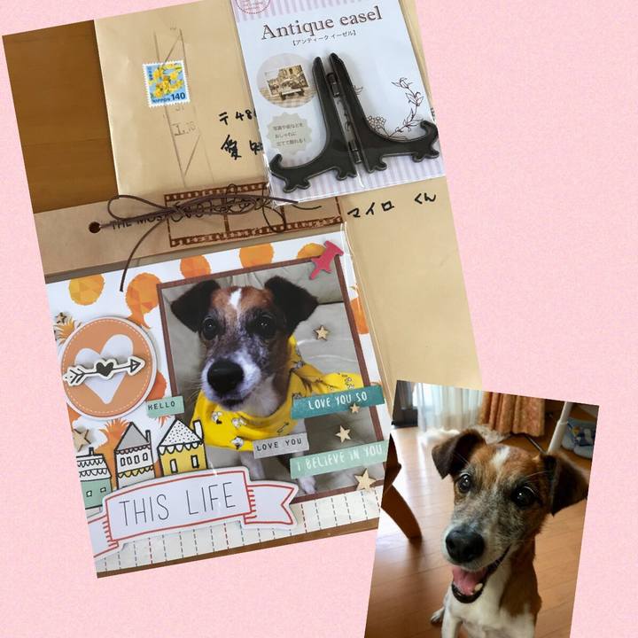 Aa0288b3 6ba3 496d 9bb6 60f4a3e2f054 1547862394085