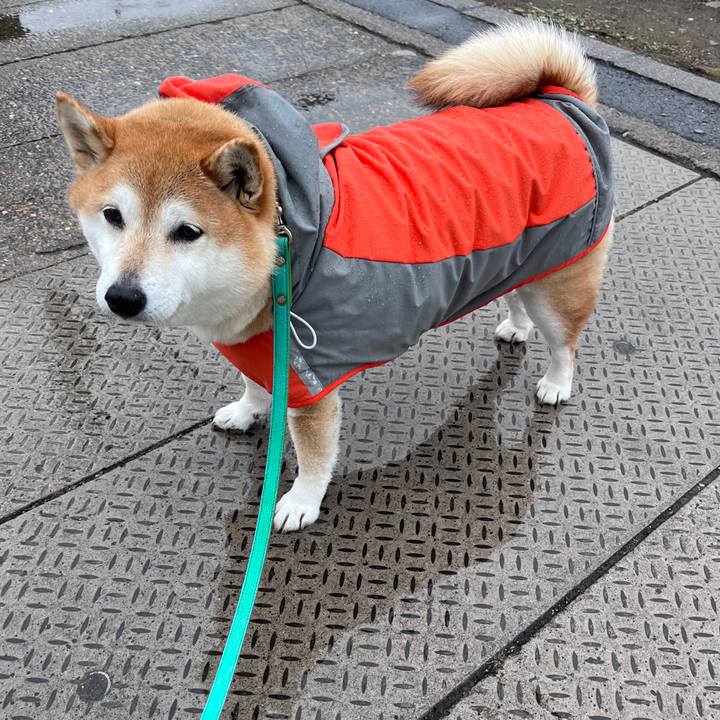 Aa029e31 7542 4e16 a5d1 f83c4a873ad2 1711158599134