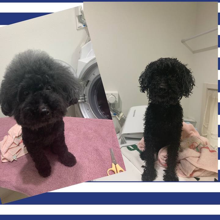 Aa02bcc5 6a7c 4bab b4b1 a85f9e9ecfb7 1580004460729