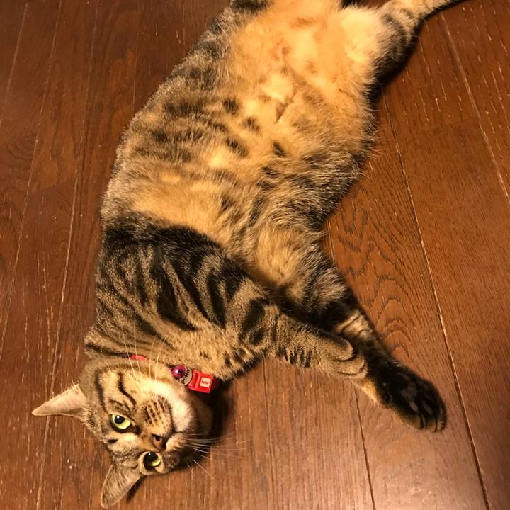 Aa02c47c d962 4e0c 876d 8d19446481f5 1537273401075