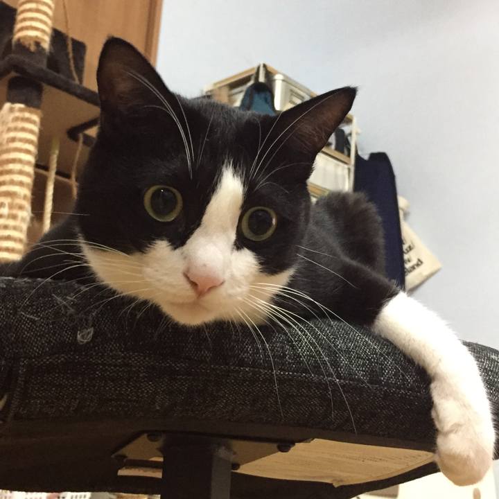 Aa02c5e1 a86d 4b04 a2ad d9a0734e8dd9 1511622049193