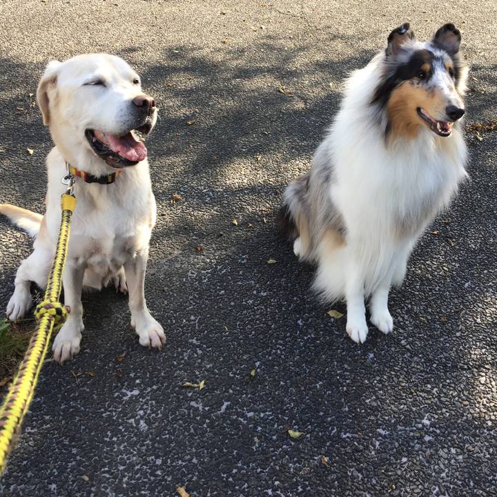 Aa02d58b 2dad 4bce a06f 5034b90308f7 1539498018946