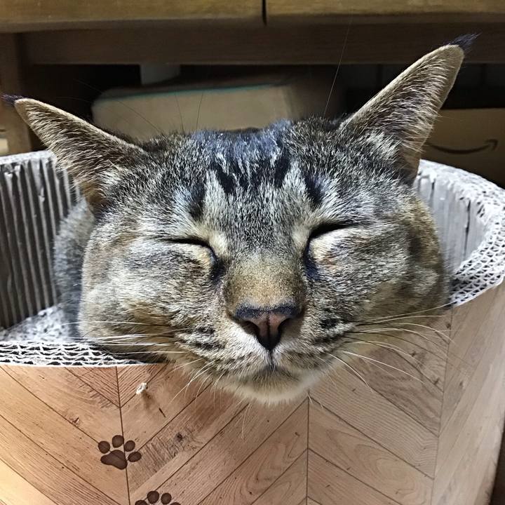 Aa02ead9 21f3 4ddc b049 0c96cd28724b 1703067476561