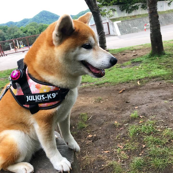 Aa0310f5 71da 4d34 9391 fdc36c9b8889 1566383050192