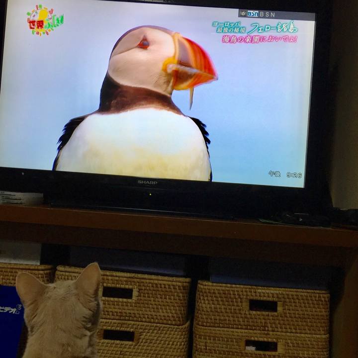 Aa032e5b ce0d 428b 8767 a63c82e8e325 1537014560233