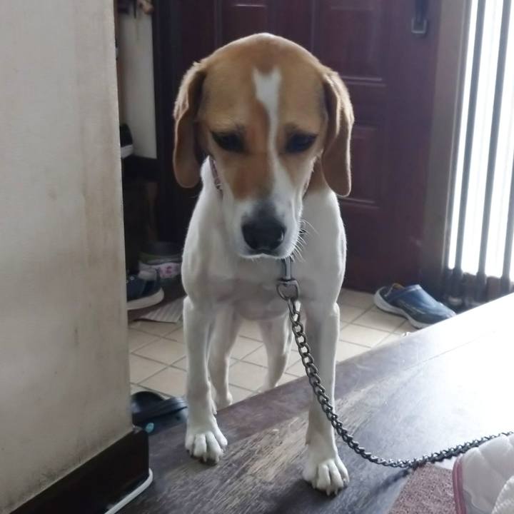 Aa036562 3dd7 49ad 9b88 a3f1ccbe6584 1592104541798