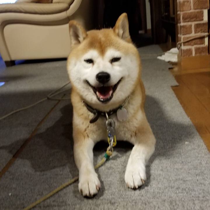 Aa0383f3 8e7f 4469 b8dd 02844efc092f 1639556743274