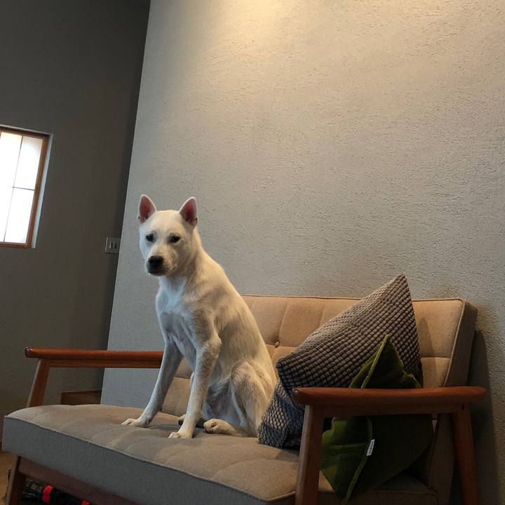 Aa03d9bd 76d4 4c33 a0fb 5ae23e3f347b 1535625780360