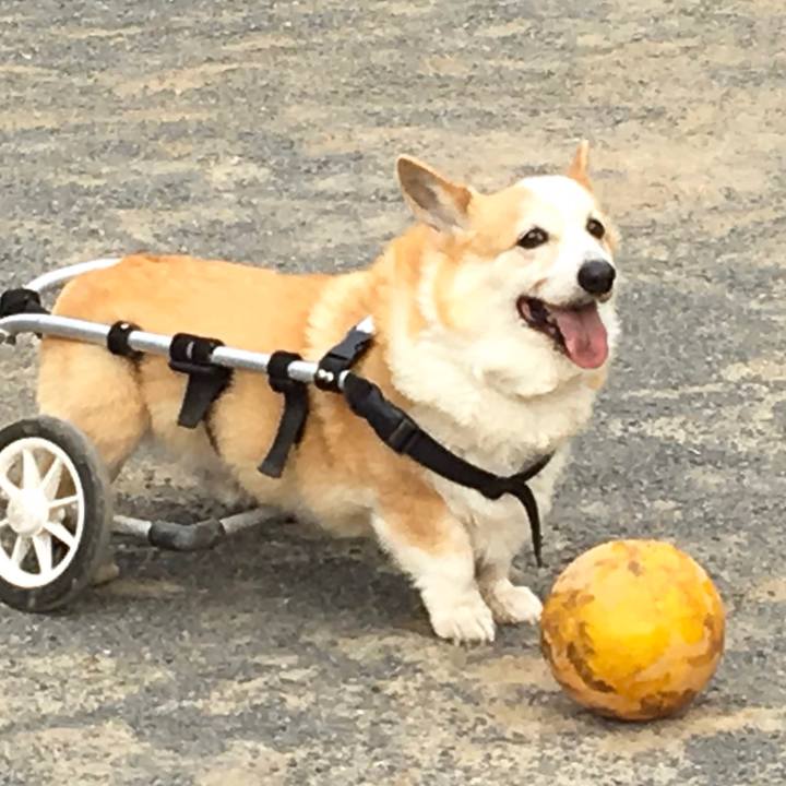 Aa03ea25 8cd0 4439 be3c a94955edf8f7 1675399995812