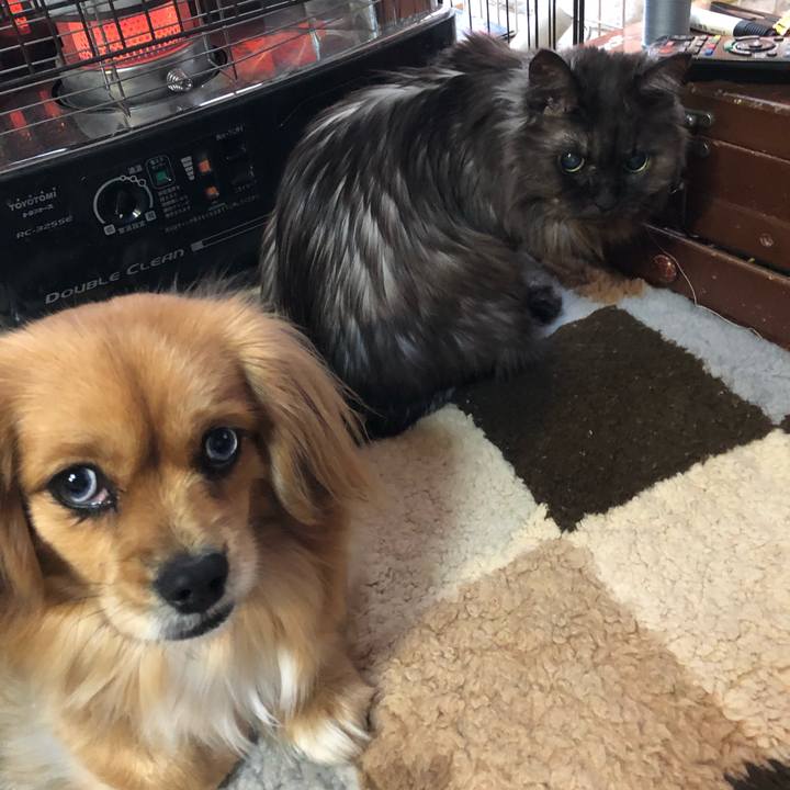 Aa040265 a810 4ac3 aef2 67be4f879e52 1551219210463