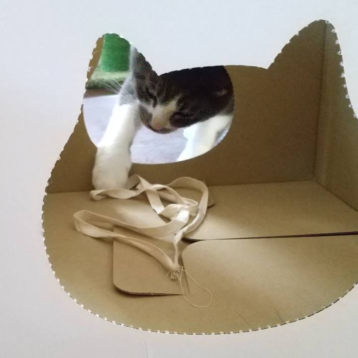 Aa041740 951c 4828 840e fdae6e290713 1601536475733