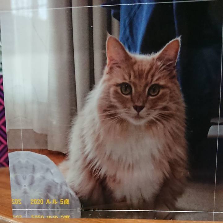 Aa043765 3ea2 4406 9ba6 84d097f95120 1587625653860