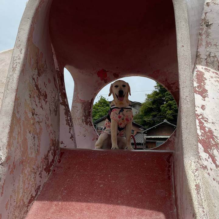 Aa050b3a 885c 4c7d a5dd 52647190ad42 1622900068930