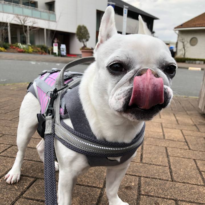 Aa05140c 8aa8 4251 908f e6eeb61e3e29 1648353641276