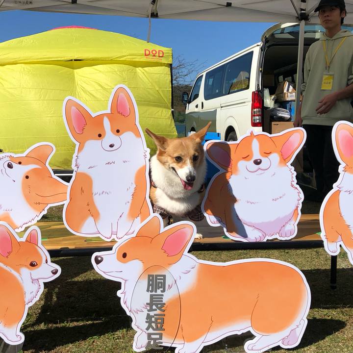 Aa05849e 42c2 4f69 99ea 9e07e19baa17 1730599912757