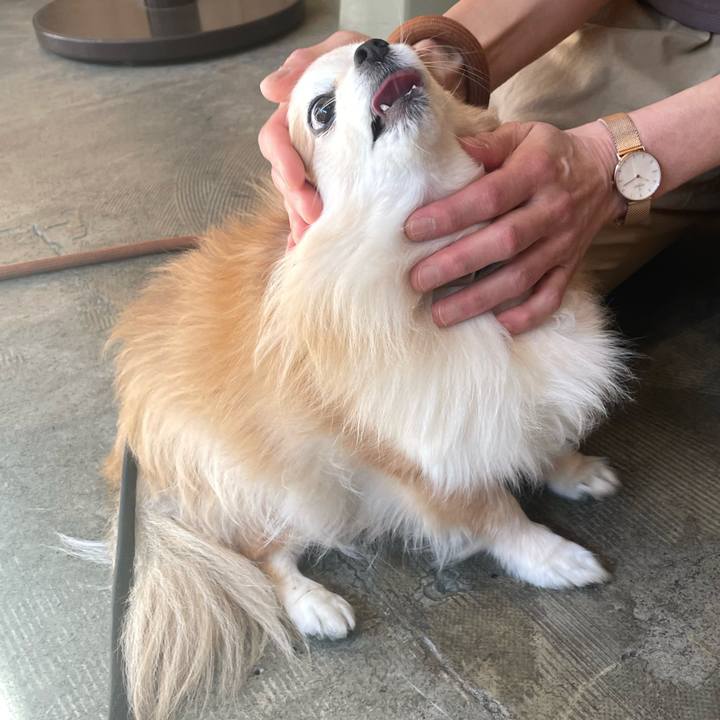 Aa05a431 5d73 4a55 9bbb 4e7208ce76d4 1760667411136