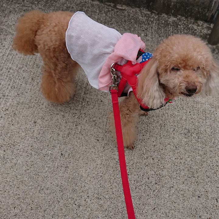 Aa05a5ba 3320 4764 95ee dbb37a362fc9 1600775515068