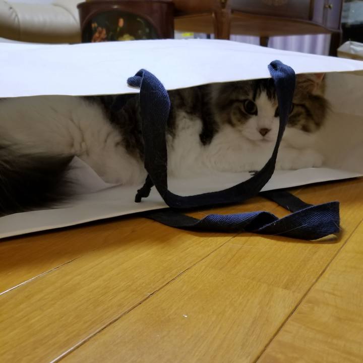 Aa05af68 942c 45d5 8afd e31af27fe080 1535500204002