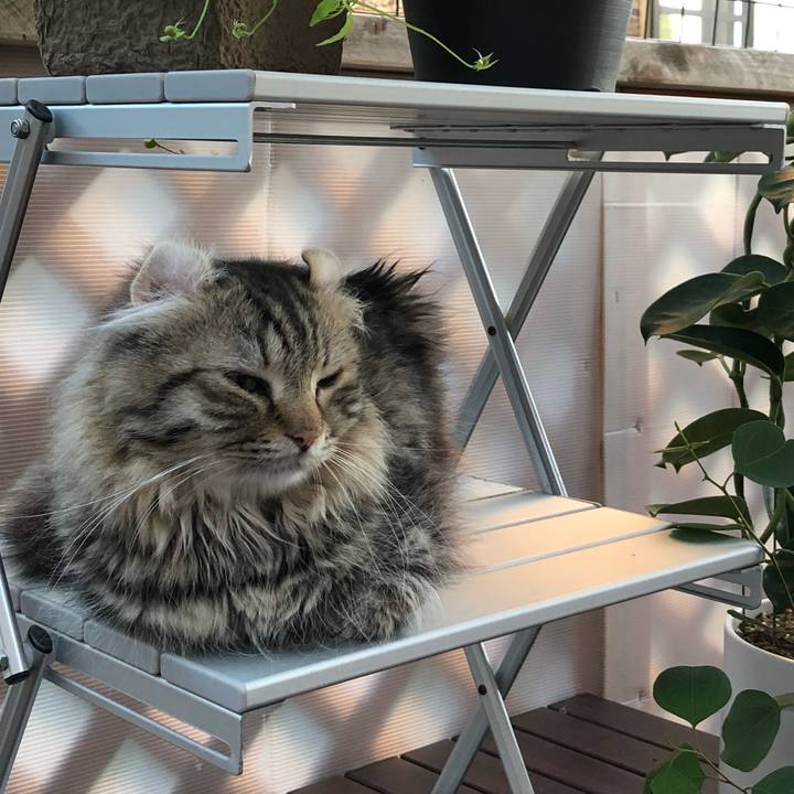 Aa05d20c 6f3f 4728 972f 17174d8a644b 1660533597685