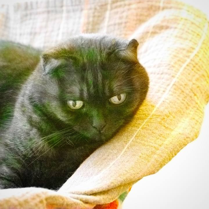 Aa065834 0028 4756 98ea 8ef85cf5511d 1537706709698