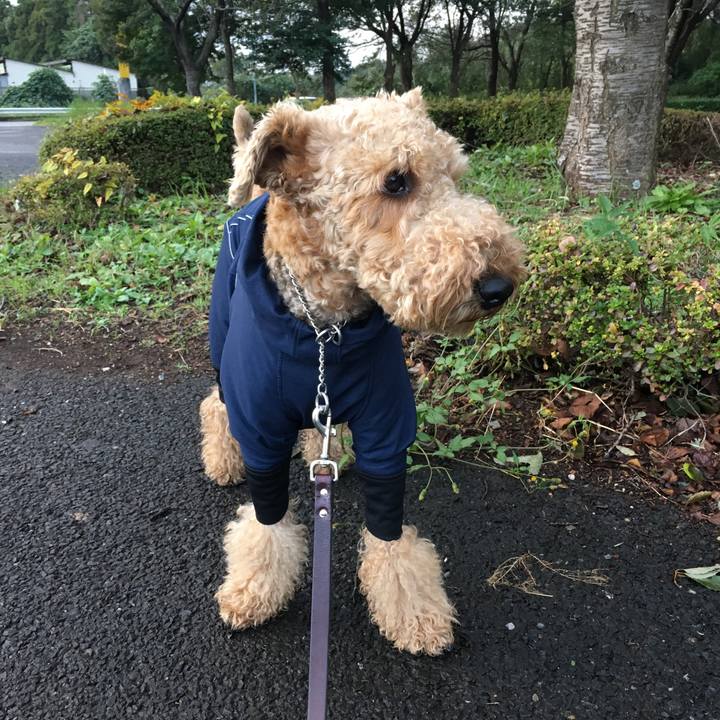 Aa06fda7 f5b4 499e 8824 eaaeb9ae6e3a 1509108814927