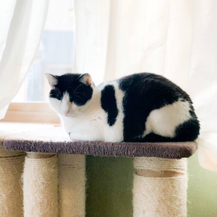 Aa070643 f3bc 4c78 b322 9ecaabc64aed 1582679118496