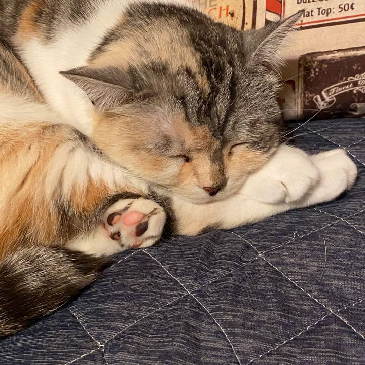 Aa07134b 43fe 4890 ae15 9b23bc353eae 1585334128570