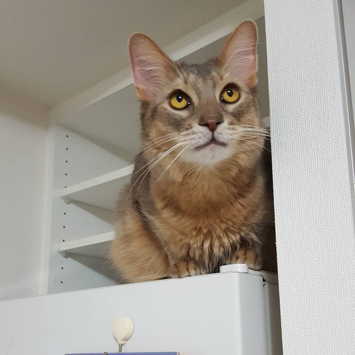 Aa0743d4 9b29 4040 923d d0fa87b1c6da 1575885458242