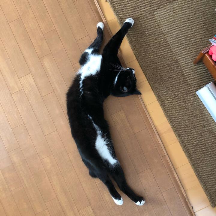 Aa078e36 7729 432a ad3f d89da67fc4cc 1574307953243