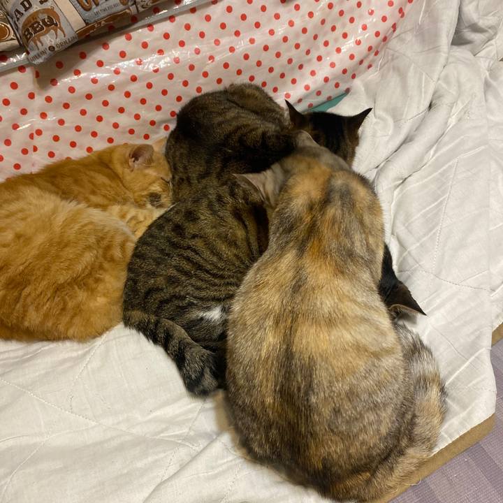 Aa0795c1 6f9e 4a3d a62c 85baa47f0969 1615925885401