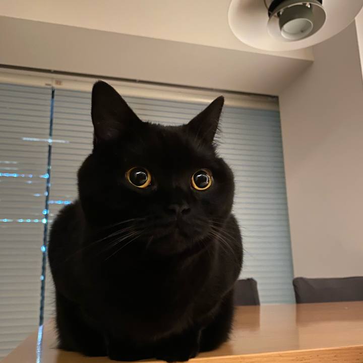 Aa079e9a a767 4b40 bdbd a152c57a1ae1 1648564675447