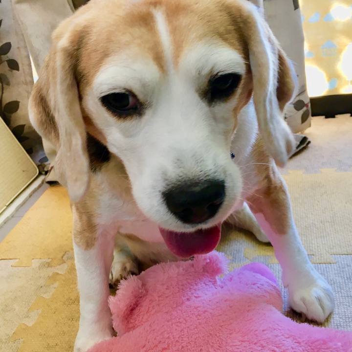 Aa07b160 9257 4f7e a060 ae12f1b9ae84 1545199825257