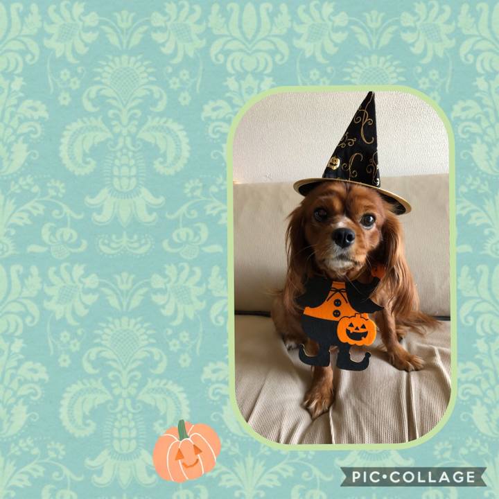 Aa07b3b7 f5c5 43d0 9bfd 303b5e87c655 1571236196238