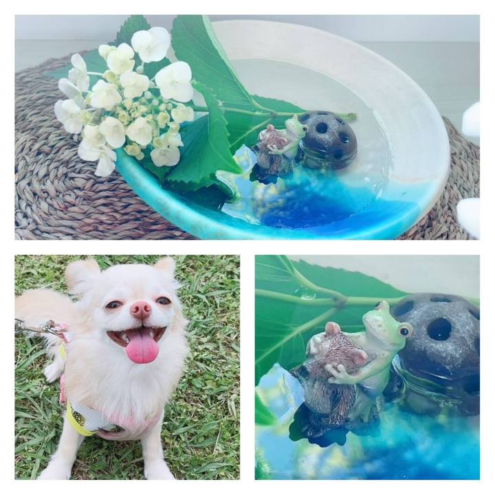 Aa07b727 5b62 4b5e a902 476a1417b653 1684916597058