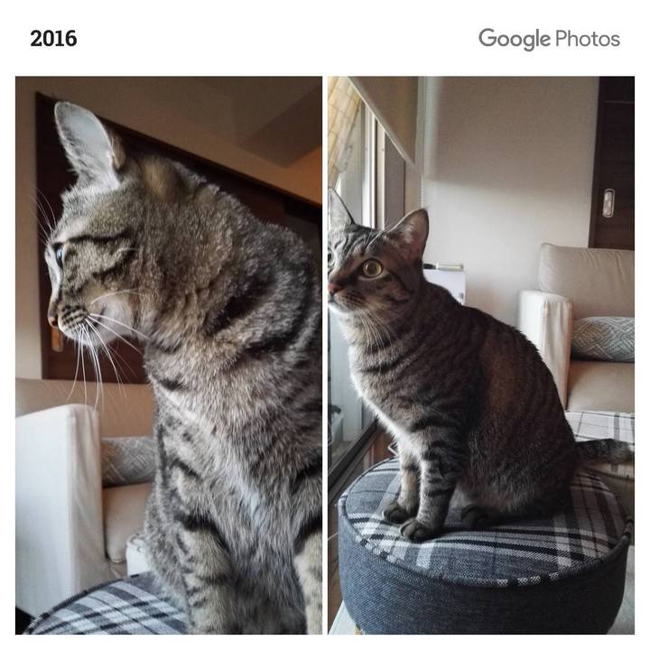 Aa07cd93 92f8 4e40 b95e 475f8bea1274 1548983371633