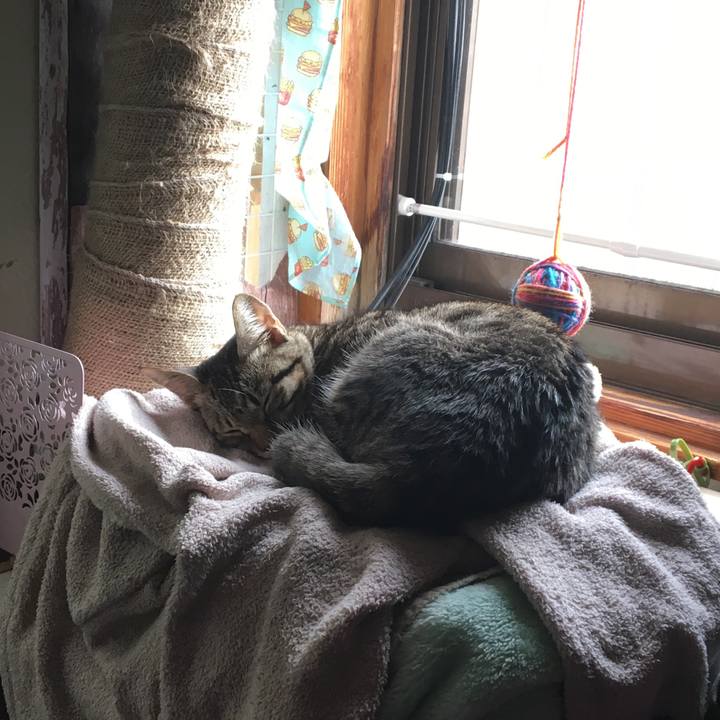 Aa07d565 b059 4054 9577 4478f87827da 1541119596345