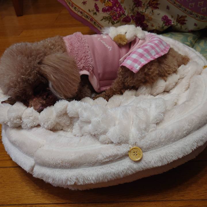 Aa082144 2b53 4b72 935a 98931f9f4c23 1735810540631