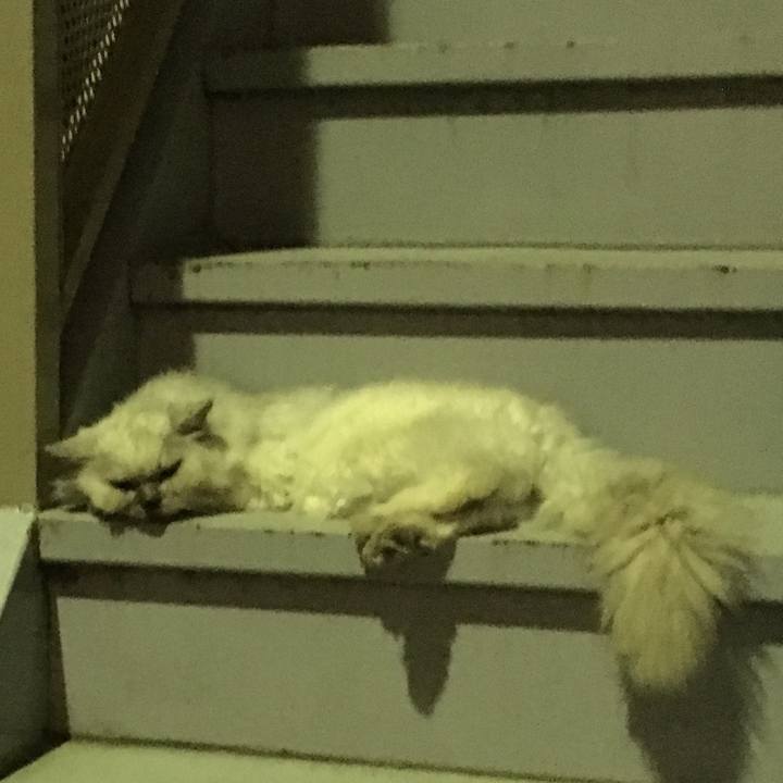 Aa085a00 a75a 4347 8b76 ba53e5ed983a 1533383480771