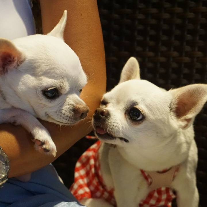 Aa086142 18fb 4515 8f60 8bbe007377be 1534299500173