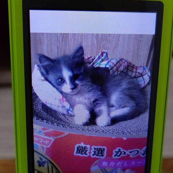 Aa087b76 a654 4f3f 8aee 02cfe1ea583c 1610624510410