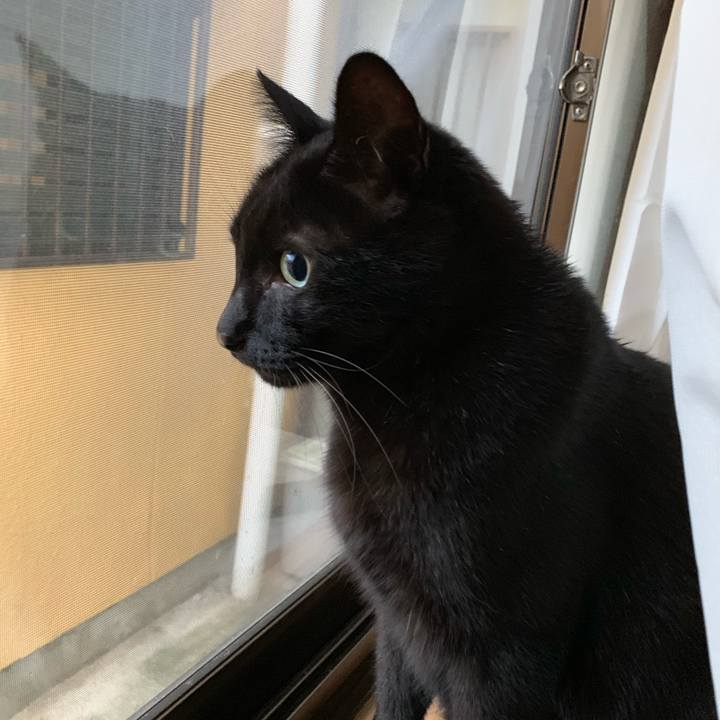 Aa087f31 5ea0 402b 993e 75e5339a4172 1545781650948