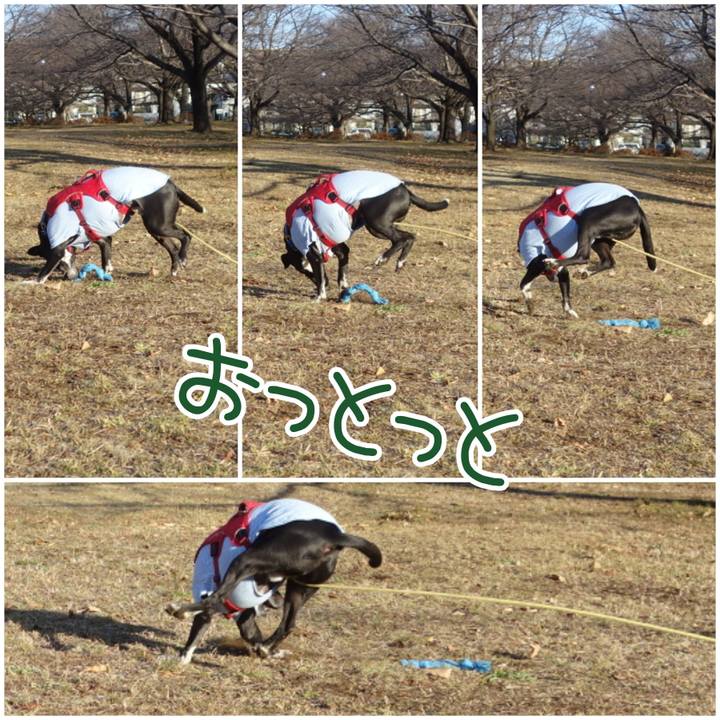 Aa0881dd c1d4 4bb9 9b56 87bbf79b9a5e 1673398365912