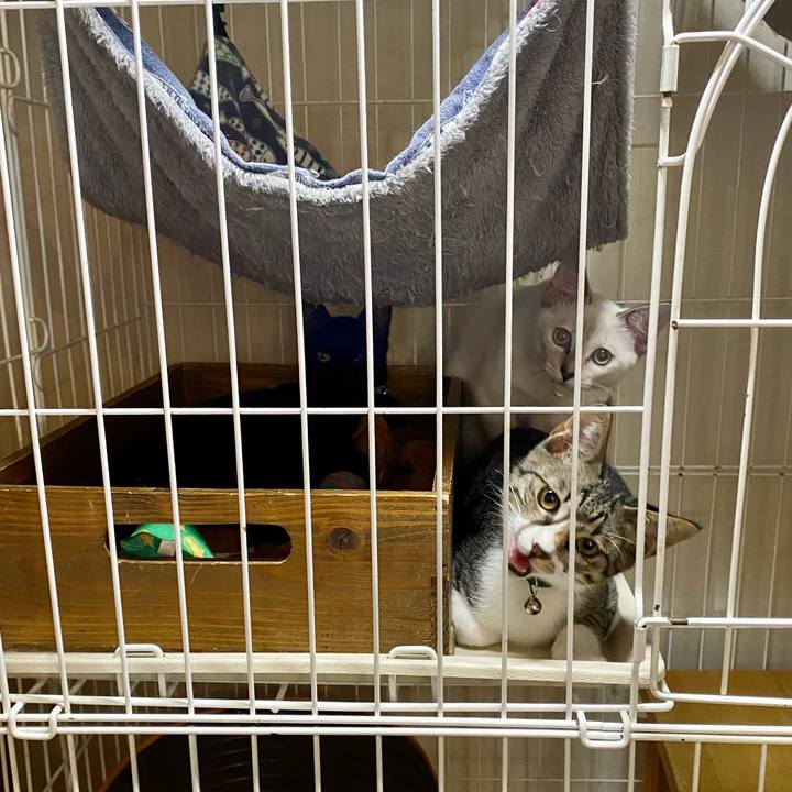 Aa088d7f ca26 40dd 89d9 e885d96f1c54 1630228079836