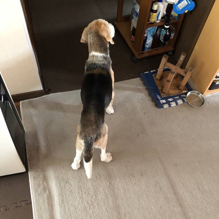 Aa08b124 f324 4400 a7b0 4c83577b39ea 1586522546655